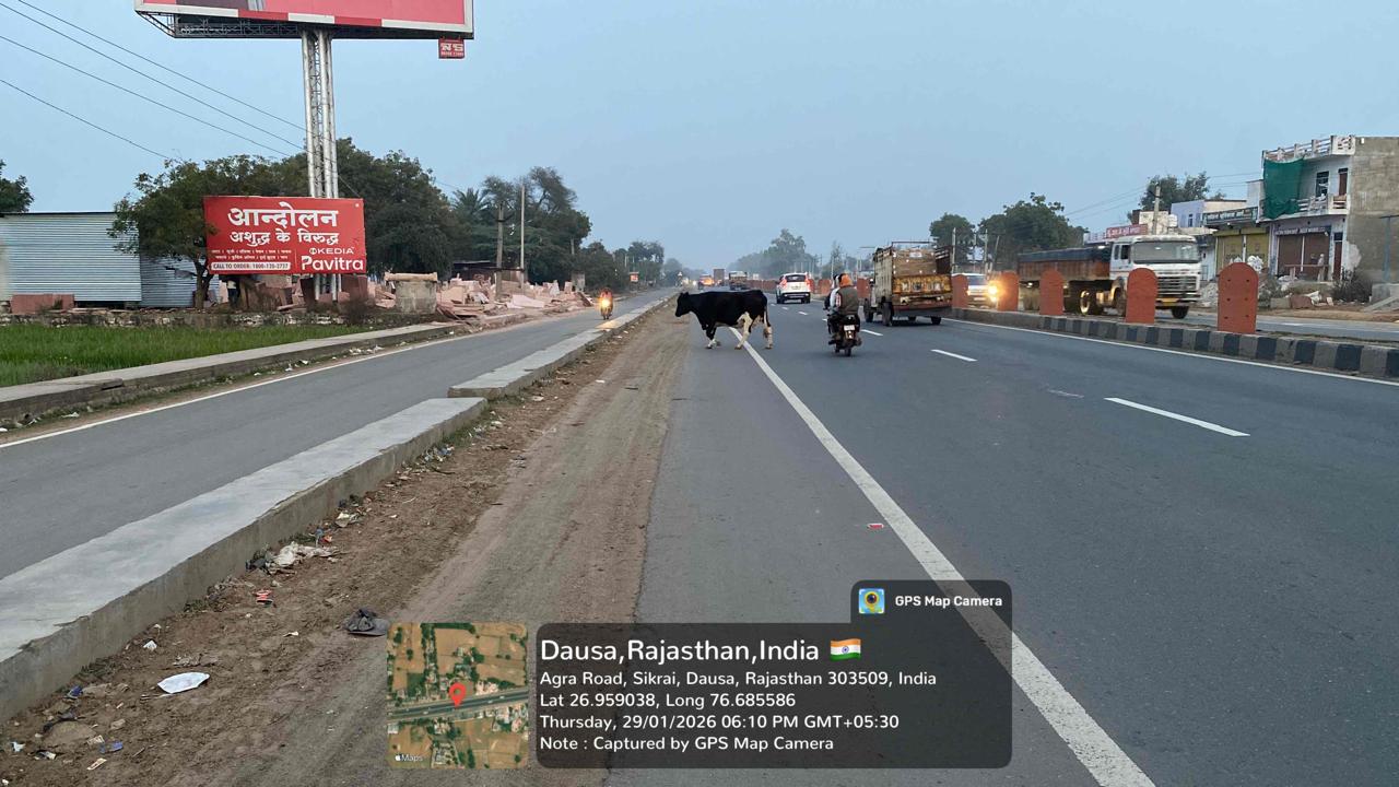 Hoarding image 167